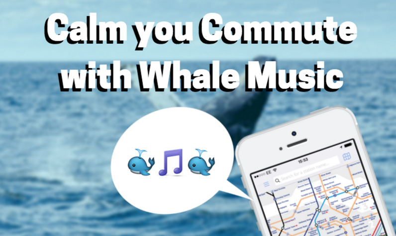 whale-music
